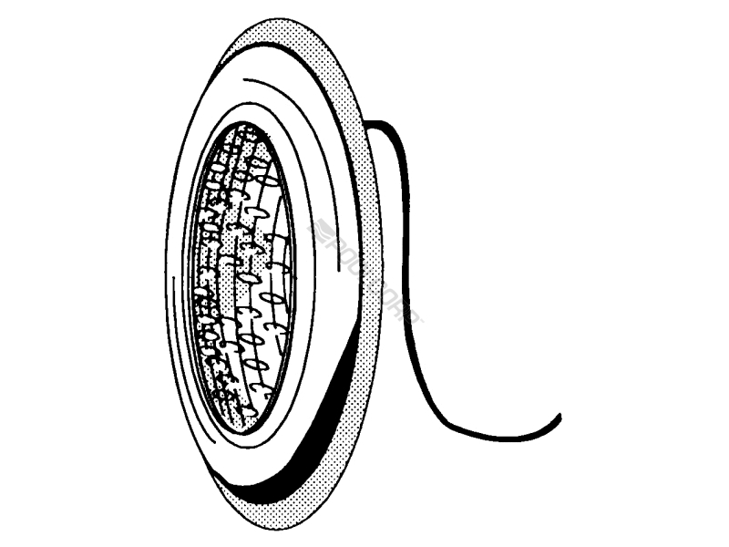 POOL360 100W 12V 50