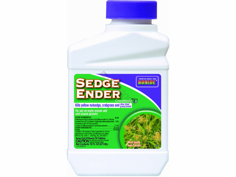 POOL360 - BONIDE PRODUCTS SEDGE ENDER CONC PT