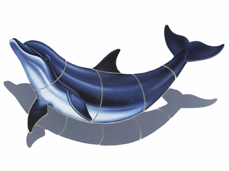 POOL360 - SHADOW BOTTLENOSE DOLPHIN-B 36"x20"