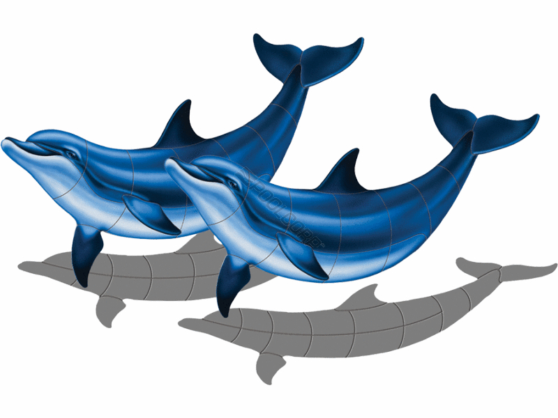 POOL360 - 52"X33" SHADOW DOUBLE BOTTLENOSE DOLPHIN-B