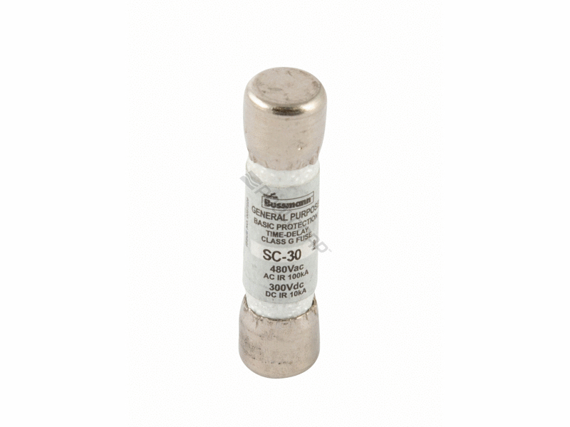 POOL360 30 AMP SLOBLO FUSE