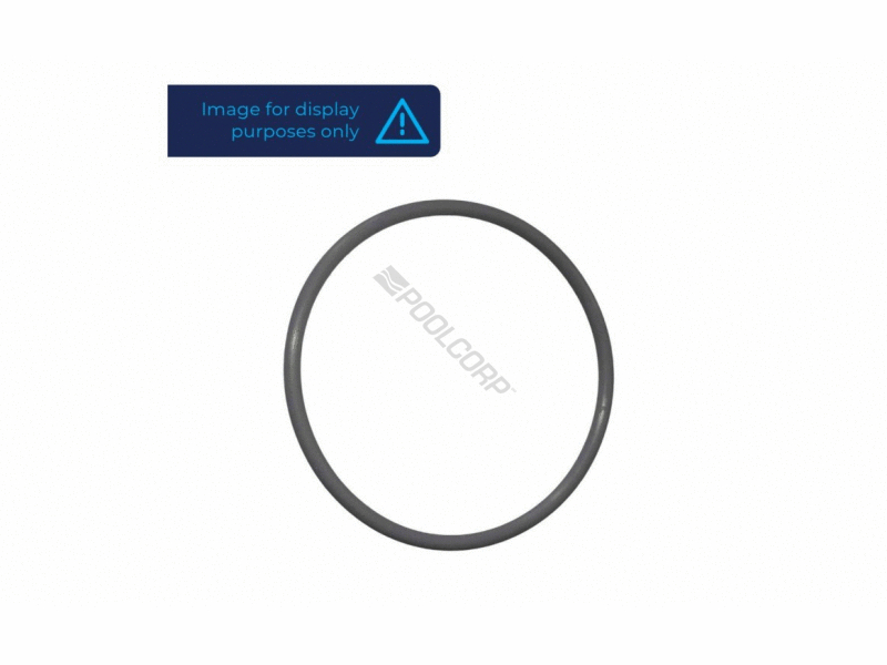 POOL360 FILTER HEAD GASKET