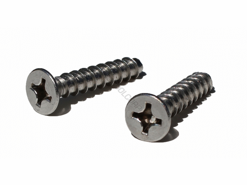 POOL360 2/PK DRAIN COVER SCREW