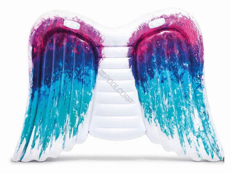 angel wing float