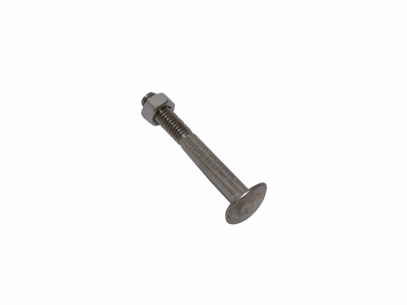 POOL360 LADDER BOLT 5/16"x2.5"
