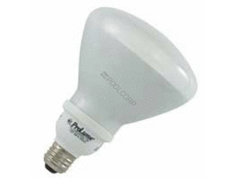 POOL360 PROLUME 120V R40 PROLUME CFL BULB