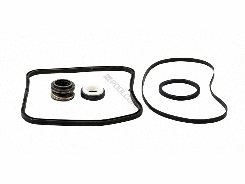 POOL360 HAYWARD SUPER PUMP SEAL KIT