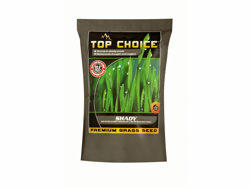 POOL360 MVS TOP CHOICE SEED SHADY 95/5 FINE FESCUE/RYE 10