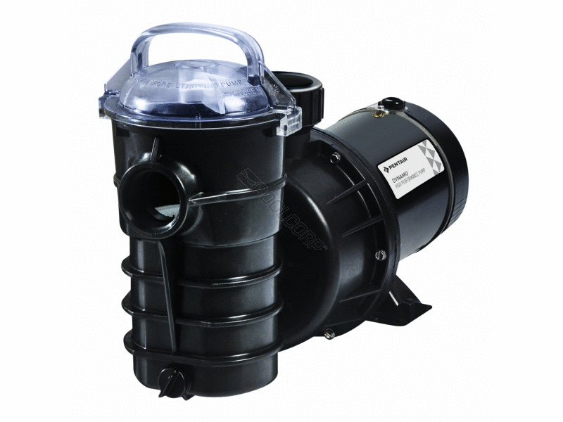 POOL360 1.5HP 115V DYNAMO PUMP W/ 3' CORD & SWITCH