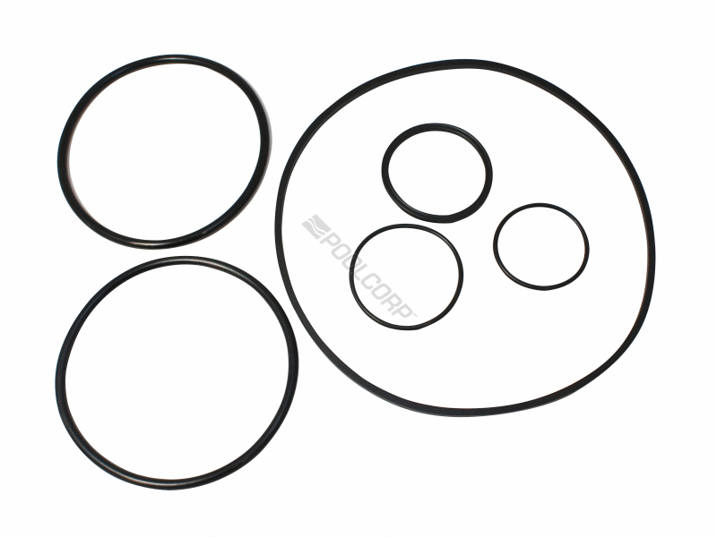 POOL360 ORING KIT PAC FAB CHALLENGER