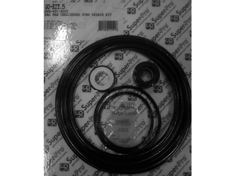 Challenger Pool Pump Seal Replacement