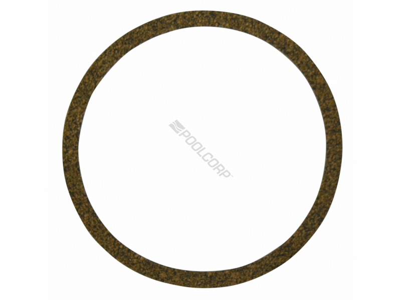 POOL360 STARITE JHE PUMP GASKET