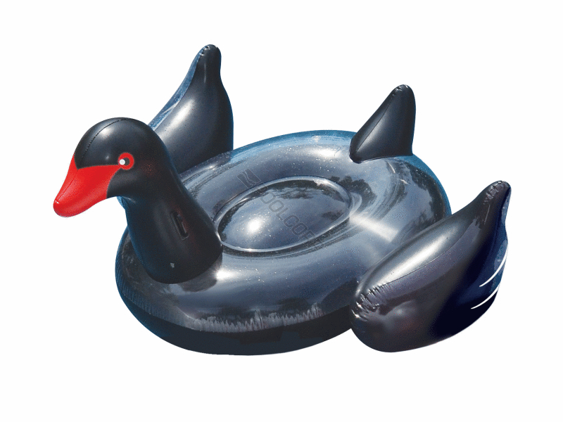 black swan floatie