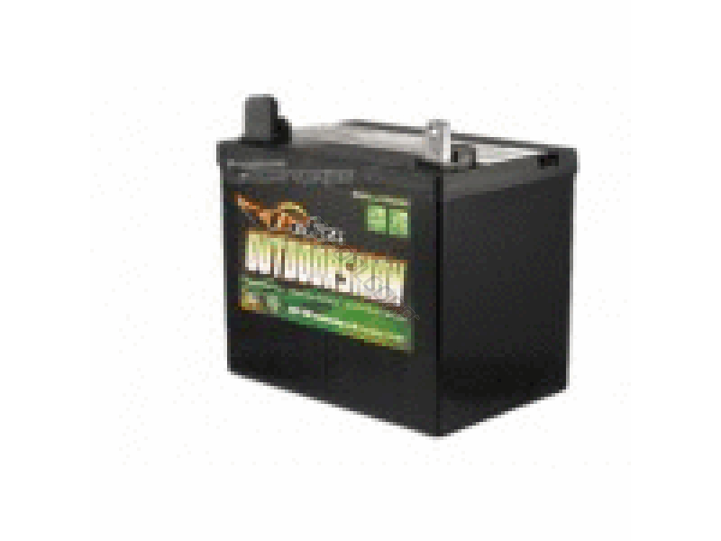 POOL360 TRISTATE BATTERY GARDEN BATTERY RH