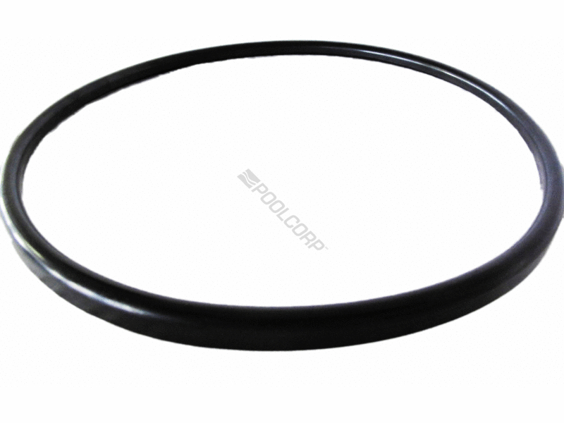 POOL360 AMERICAN QUANTUM MANIFOLD GASKET
