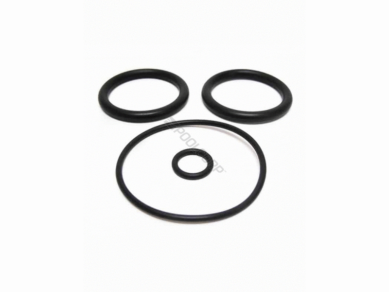 POOL360 25/PK 2" AMP/ PAC PISTON ORING SET